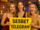 sesbet telegram